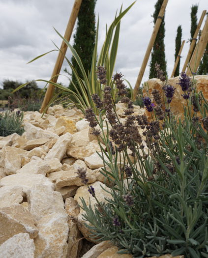 Créer un jardin méditerranéen avec un paysagiste