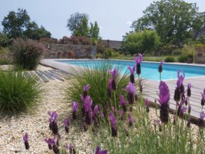 Entretien de jardin Maine-et-Loire