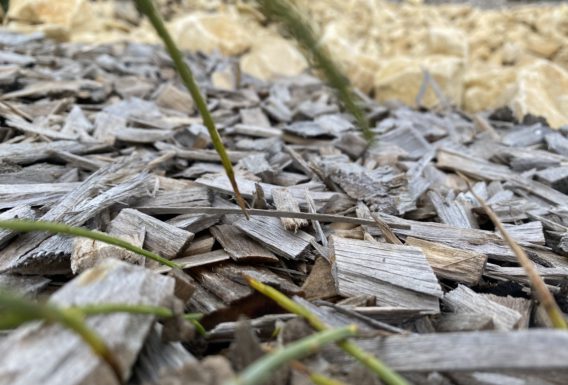 Paillage Plaquette de bois naturelle