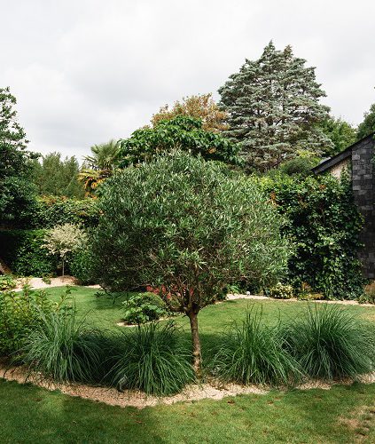 Aménagement de jardin