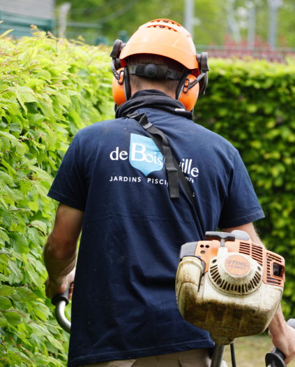 Débroussaillage entretien de jardin