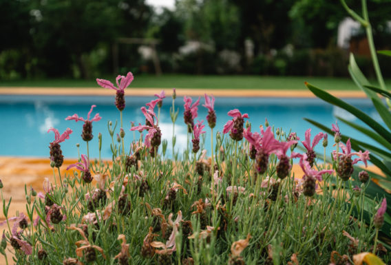 Aménagement de jardin