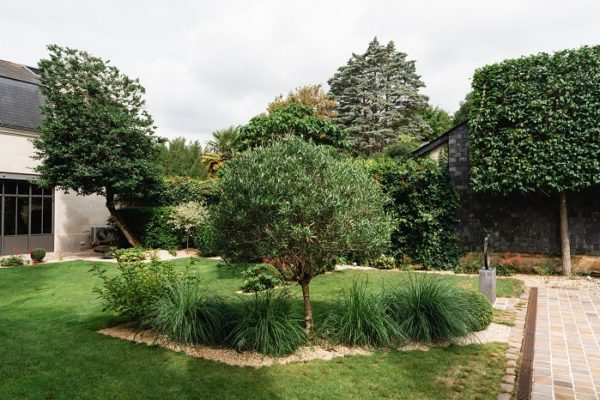 Entretien jardin Angers Saumur