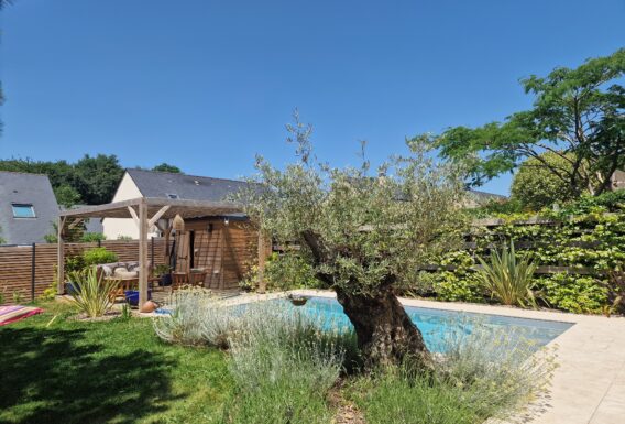 Jardin paysager avec pergola bois, pin parasol et massifs méditerranéens - Aménagement paysagiste Angers