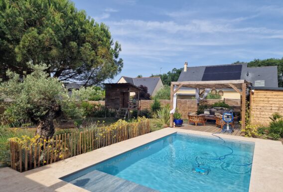 Piscine familiale avec olivier centenaire, pergola bois et aménagement méditerranéen - Installation pisciniste Angers