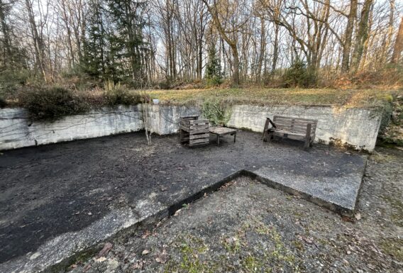 Paysagiste aménagement jardin Angers Saumur
