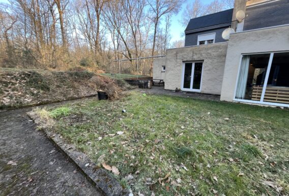 Paysagiste aménagement jardin Angers Saumur